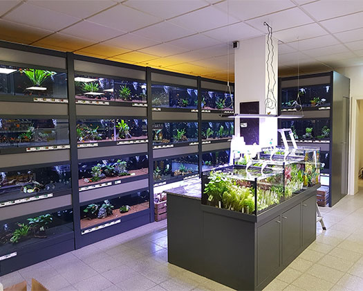 Abteilung Aquaristik