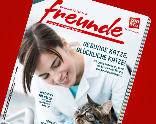 freunde-Magazin 02/2021